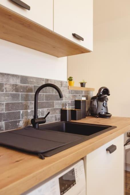Apartamento L'Aindus De Brou- Parking Prive- Rdc Bourg-en-Bresse Exterior foto